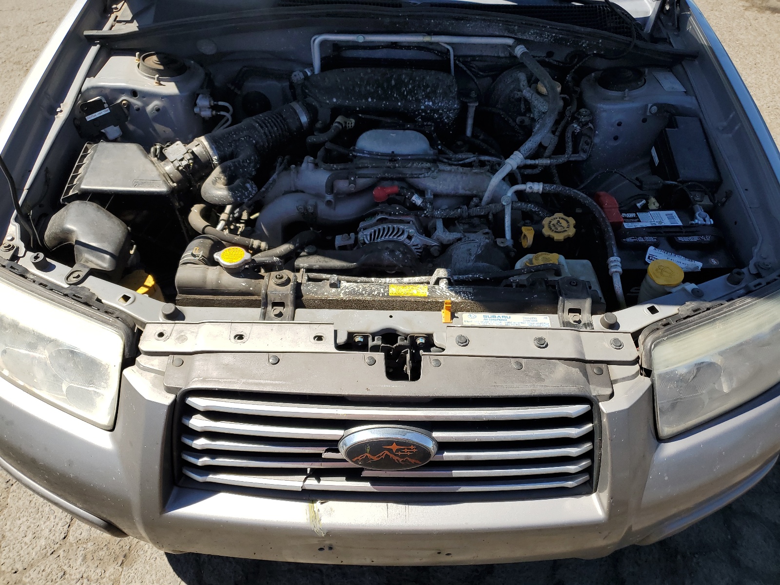 JF1SG676X6H755965 2006 Subaru Forester 2.5X Ll Bean