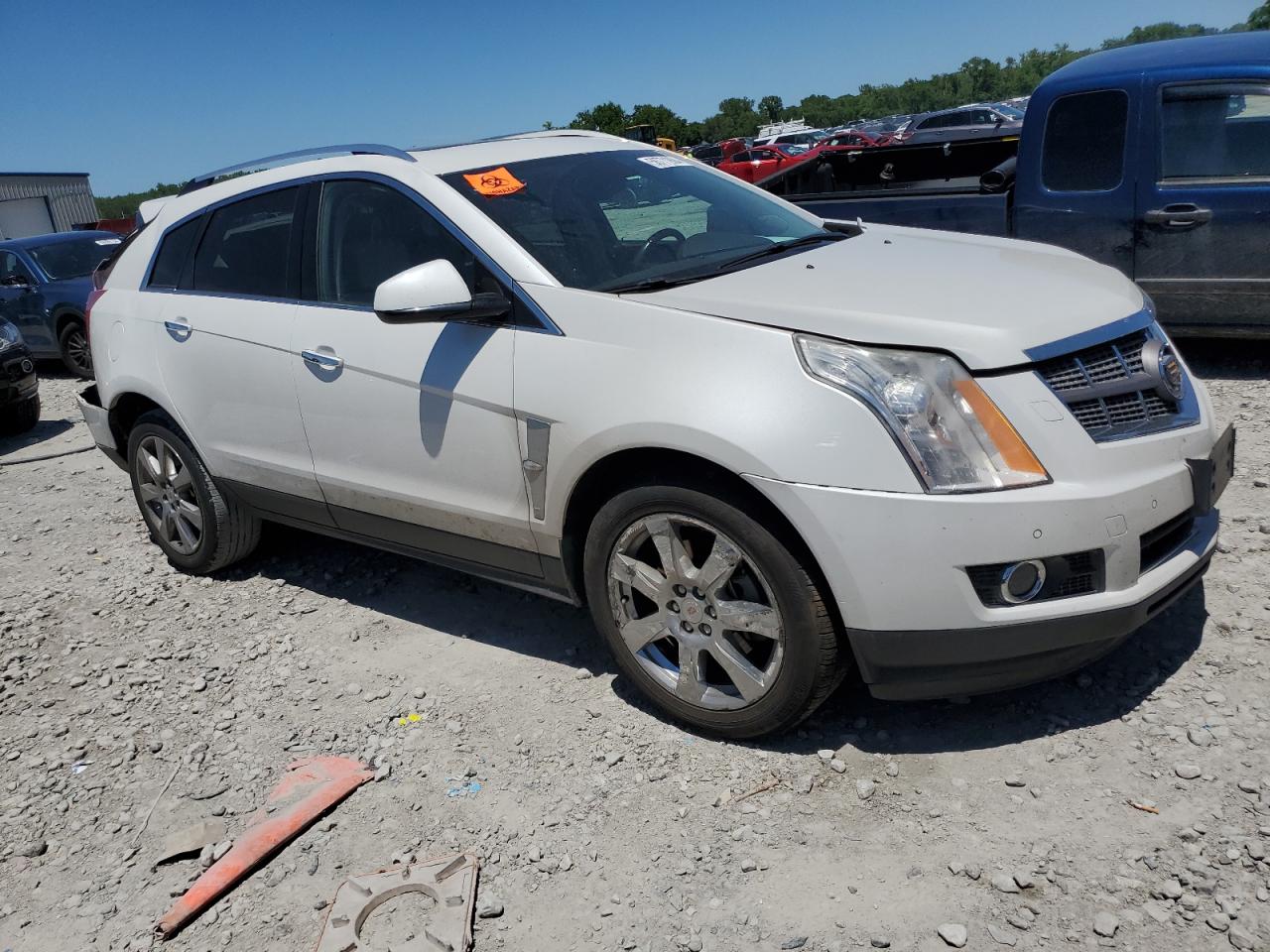 2010 Cadillac Srx Performance Collection VIN: 3GYFNBEY0AS630238 Lot: 58771904