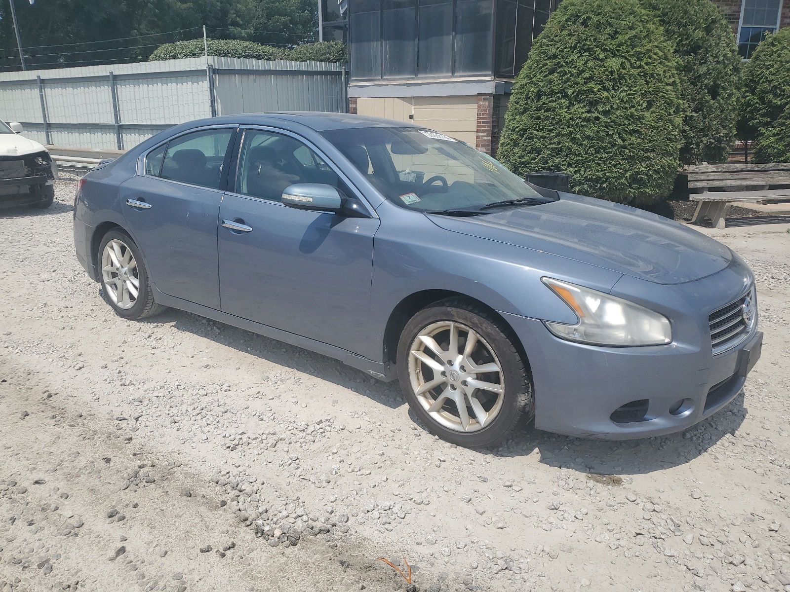 1N4AA5AP1AC846332 2010 Nissan Maxima S