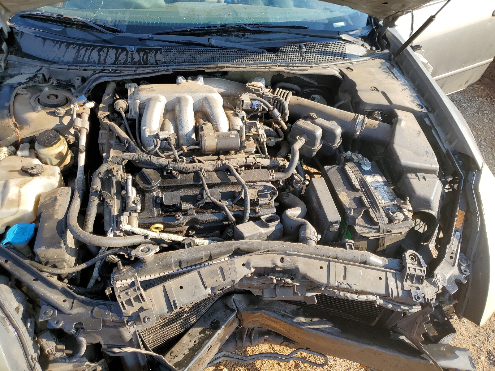 1N4BA41E74C873228 2004 Nissan Maxima Se