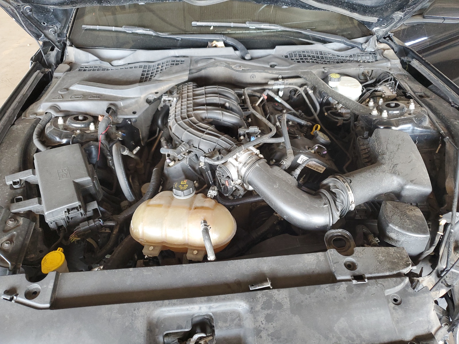 1FATP8EM2F5371987 2015 Ford Mustang