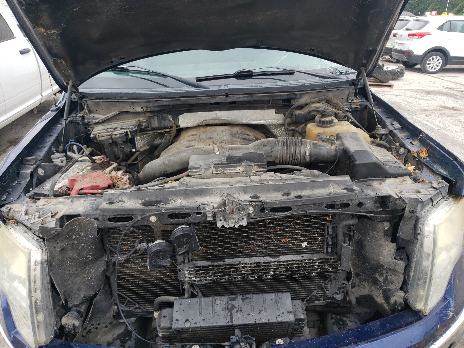 1FTFW1ET1CFB01888 2012 Ford F150 Supercrew