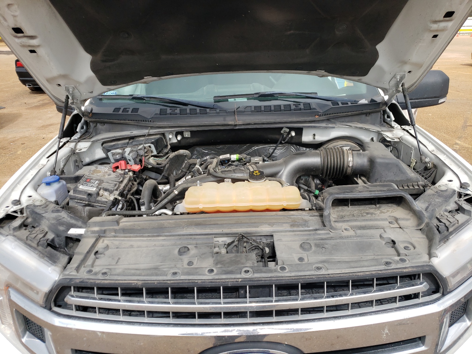 1FTEW1CPXKKC11412 2019 Ford F150 Supercrew