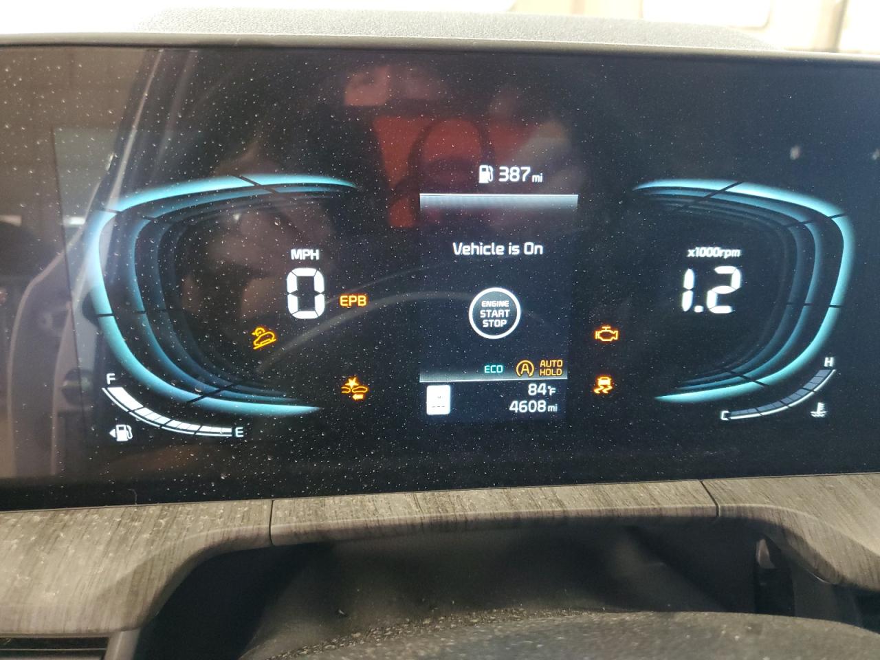 2024 Kia Telluride Ex VIN: 5XYP3DGC8RG484830 Lot: 57456294