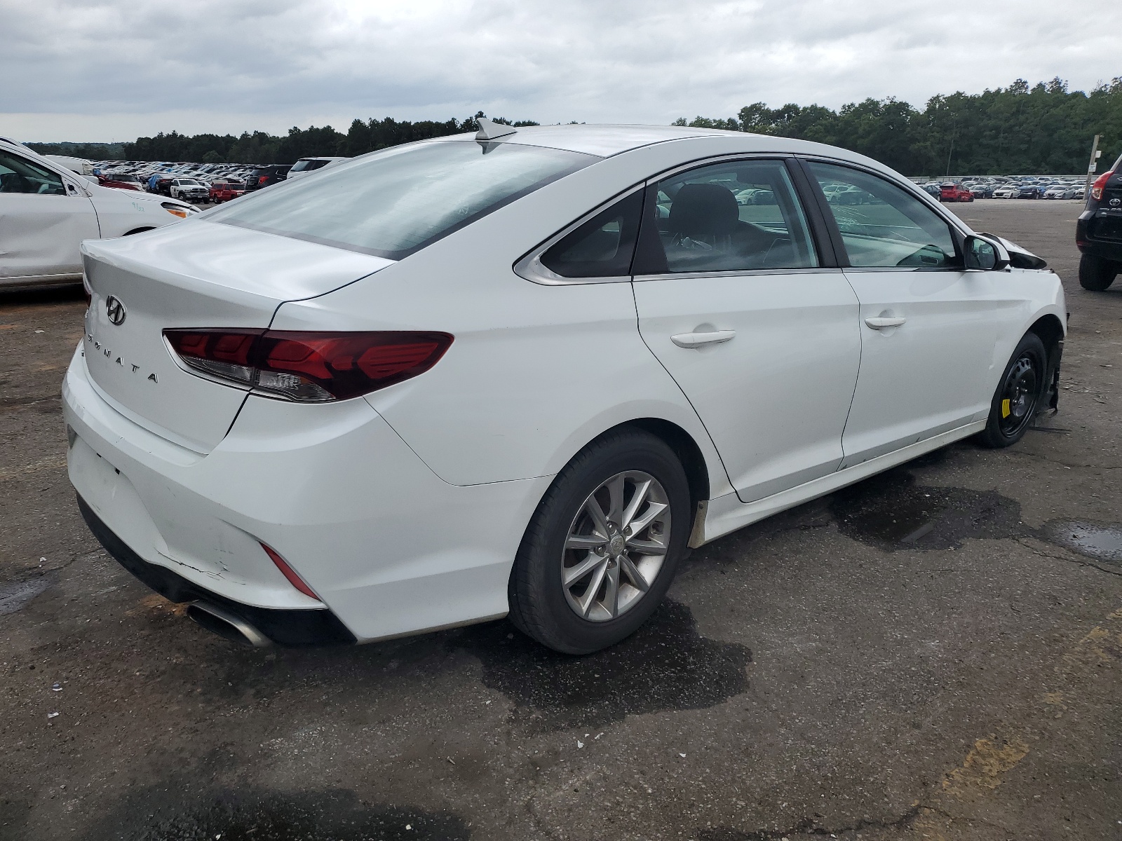 2019 Hyundai Sonata Se vin: 5NPE24AF8KH743148