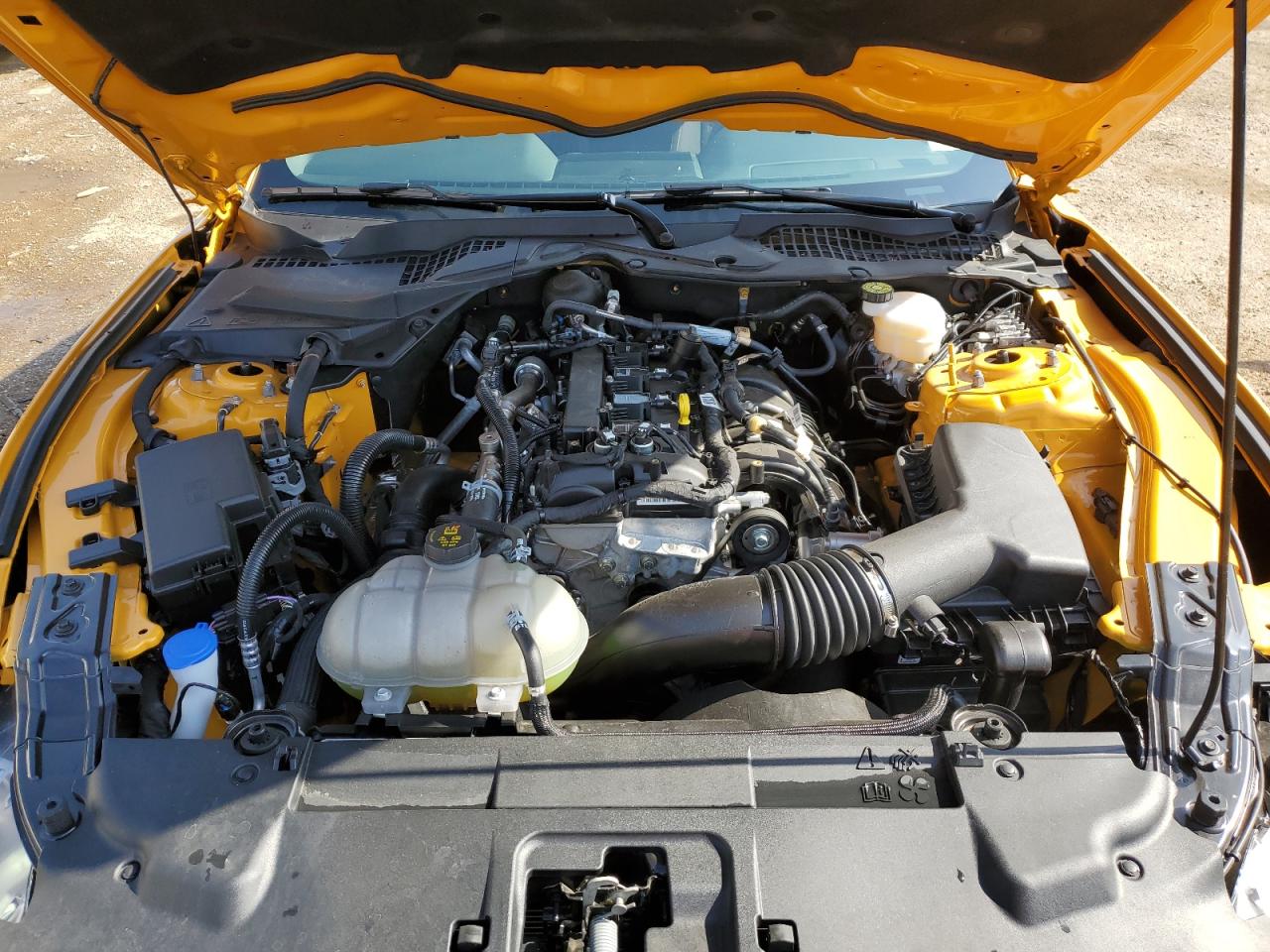 2022 Ford Mustang VIN: 1FA6P8TH4N5126013 Lot: 57311784