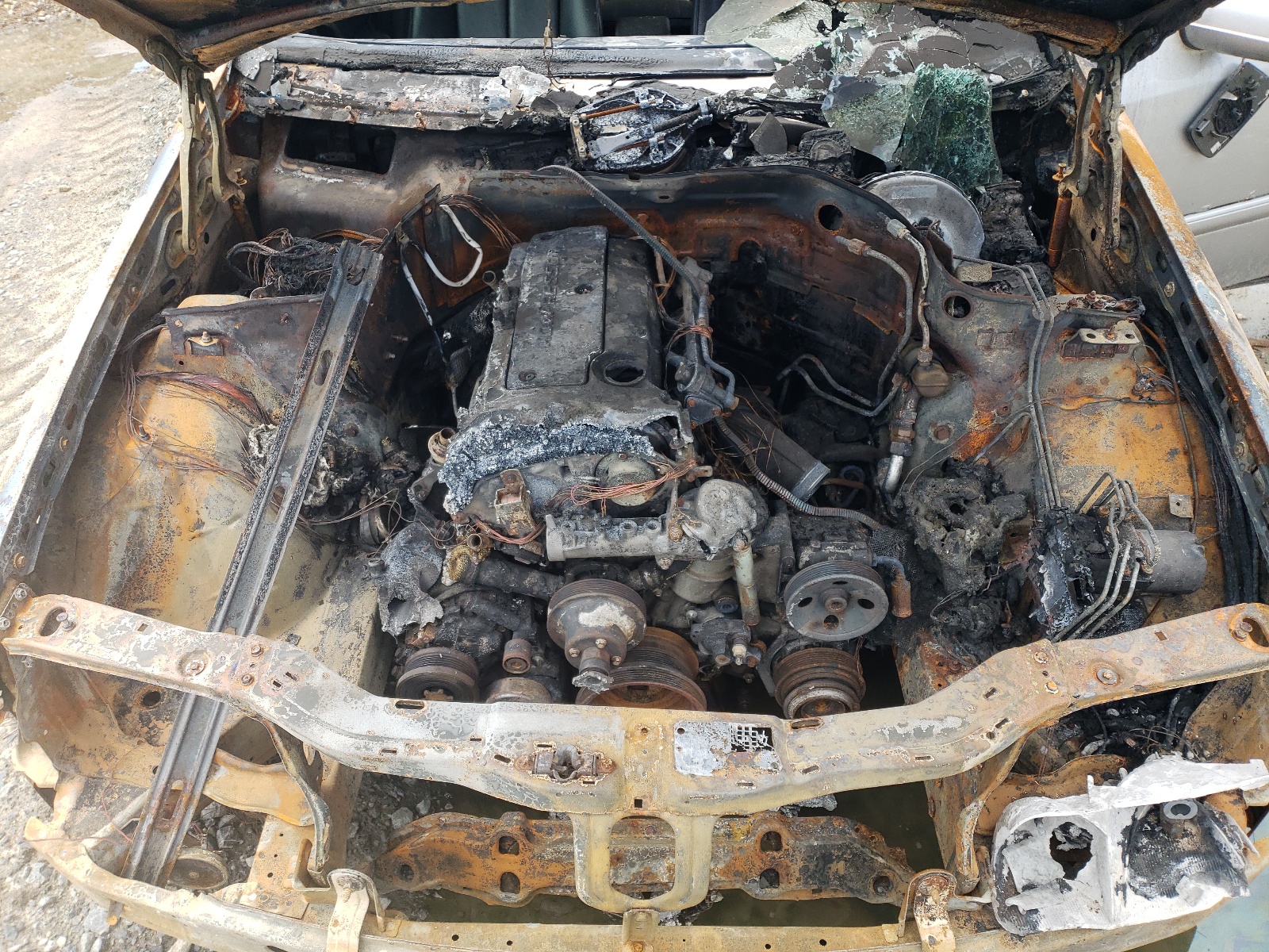 WDBHA24G3XA807313 1999 Mercedes-Benz C 230