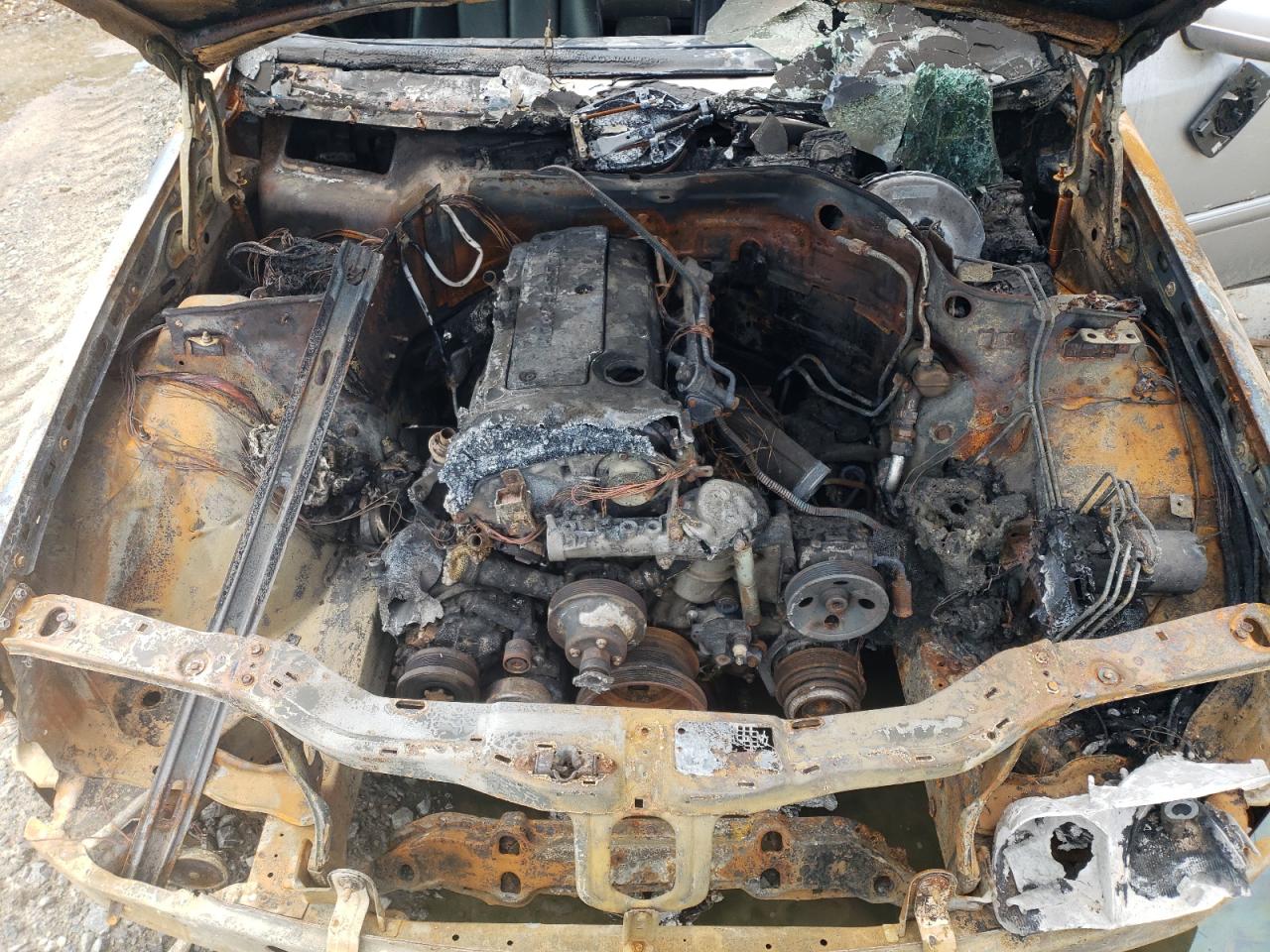 1999 Mercedes-Benz C 230 VIN: WDBHA24G3XA807313 Lot: 56479884