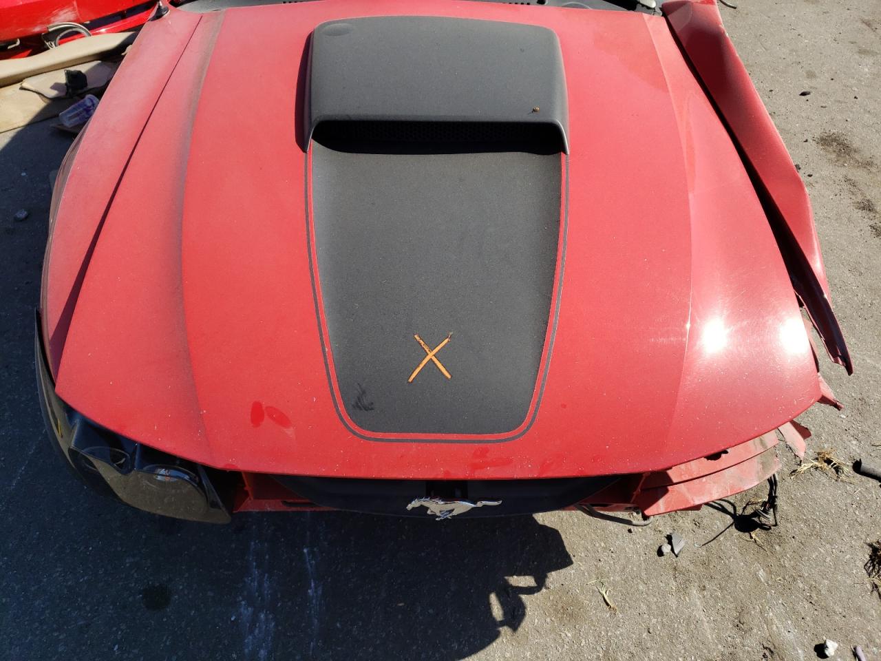 2003 Ford Mustang Gt VIN: 1FAFP42X23F339597 Lot: 59732184