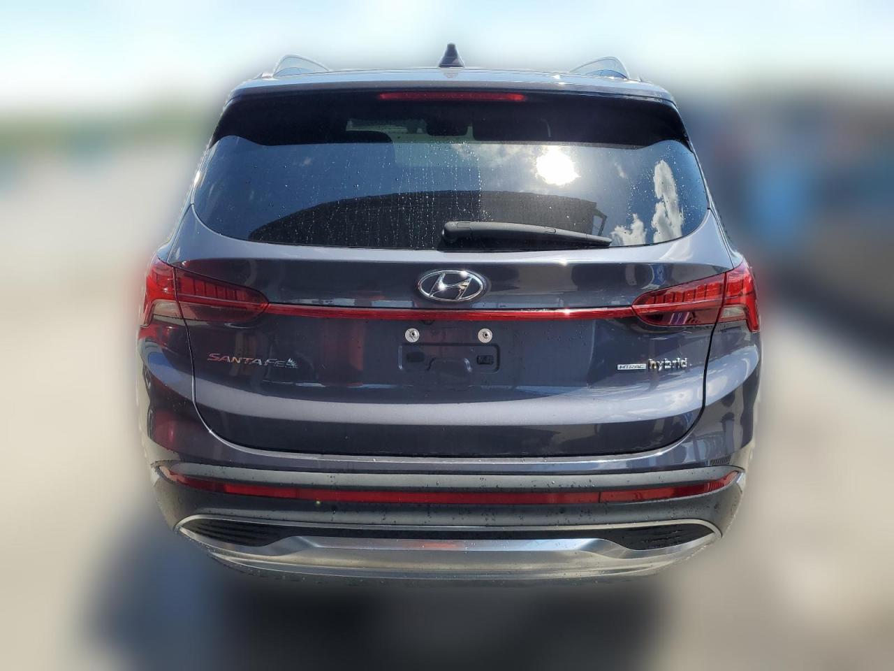 2021 Hyundai Santa Fe Sel Premium VIN: KM8S3DA14MU008630 Lot: 57203984