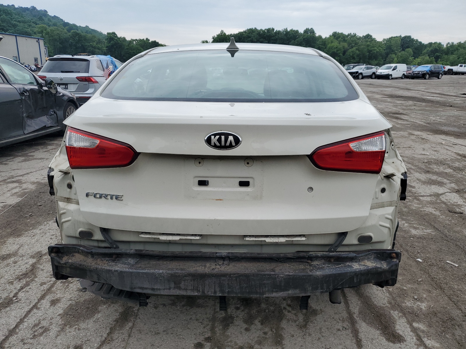 KNAFK4A66E5100383 2014 Kia Forte Lx