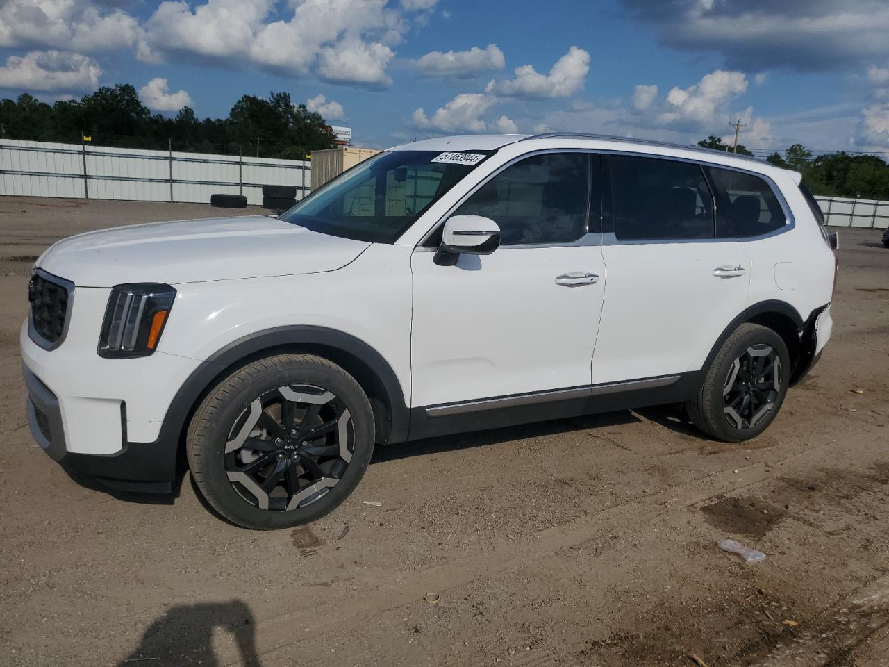 2023 Kia Telluride S VIN: 5XYP6DGC2PG344941 Lot: 57463944