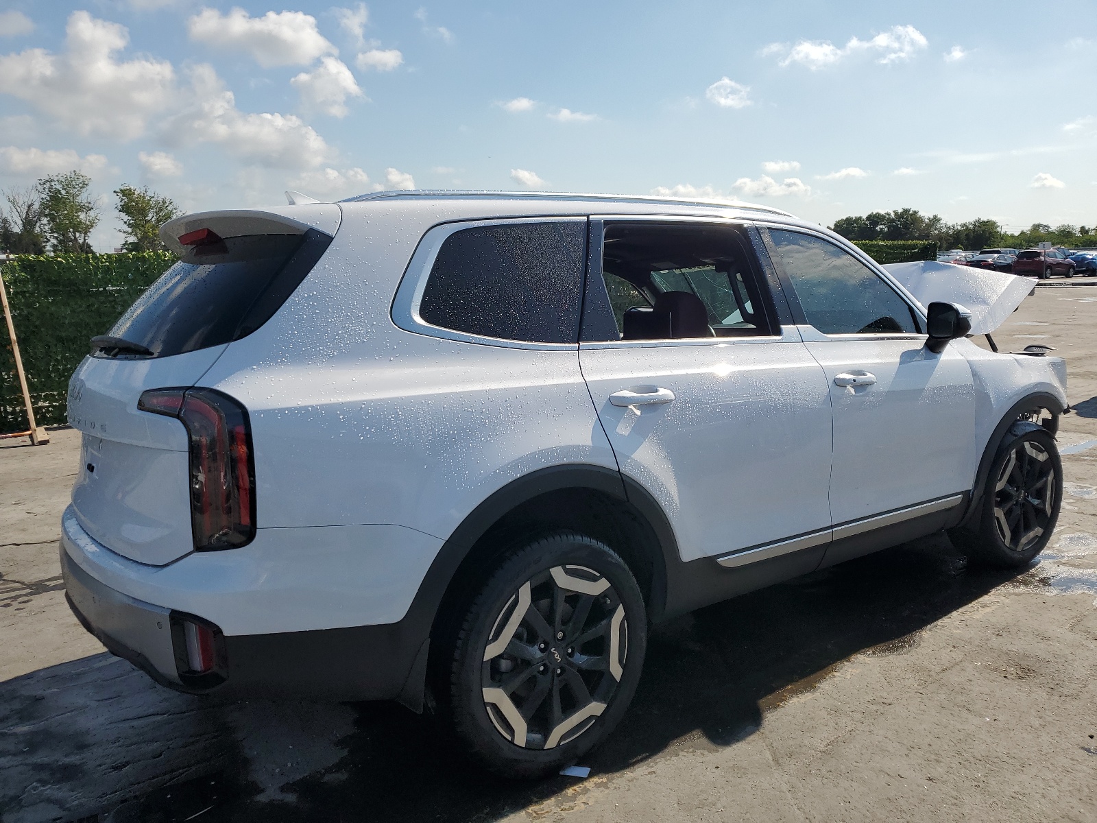 2023 Kia Telluride Ex vin: 5XYP34GC4PG358901