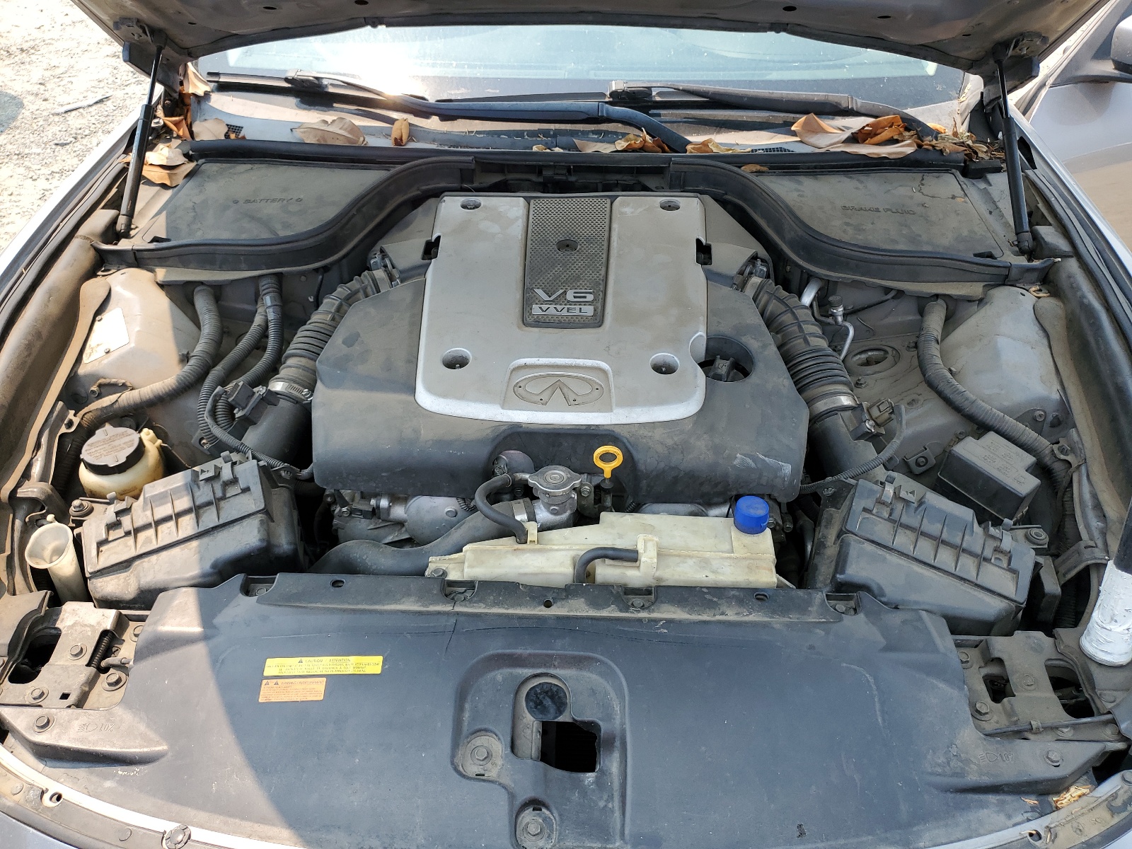 JNKCV64E28M122921 2008 Infiniti G37 Base