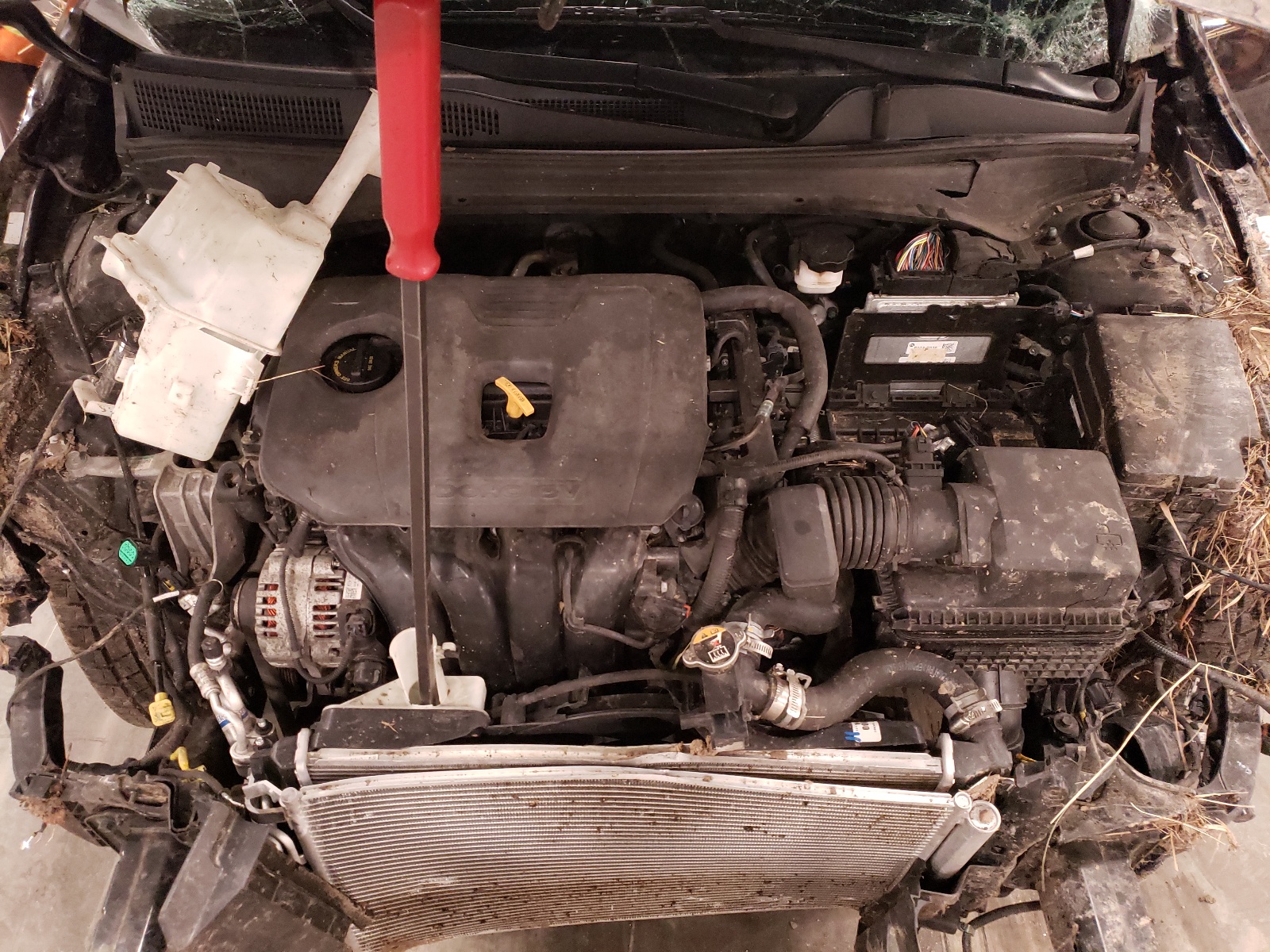 3KPF24AD5KE005850 2019 Kia Forte Fe