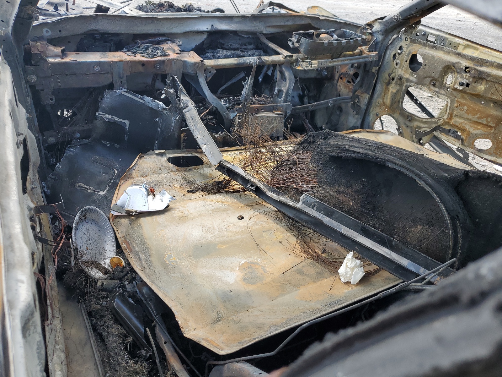 1FA6P8TH4L5178528 2020 Ford Mustang