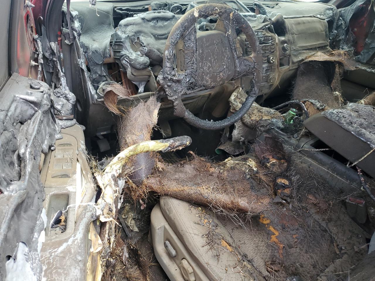 2012 Ford F150 Supercrew VIN: 1FTEW1CM7CKD07134 Lot: 58206204