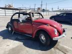 1968 Volkswagen Beetle for Sale in Sun Valley, CA - Burn