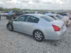 2008 Nissan Maxima Se на продаже в Memphis, TN - Front End