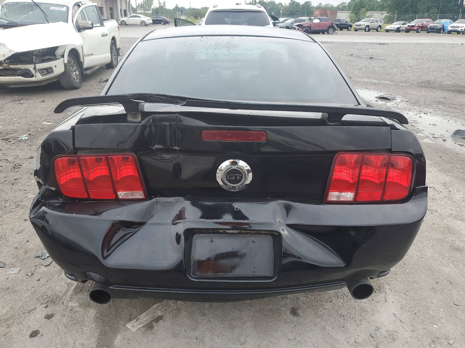 1ZVHT82H295146487 2009 Ford Mustang Gt