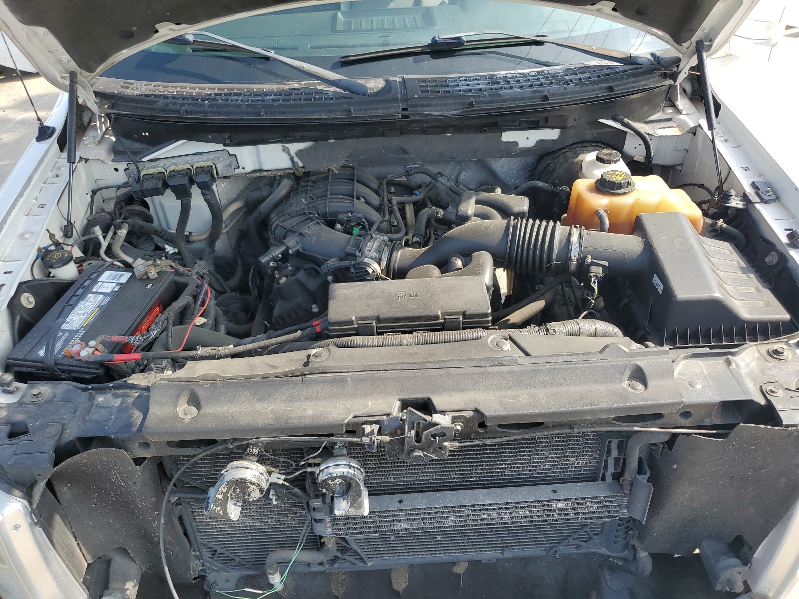 1FTEW1CM7CFA10082 2012 Ford F150 Supercrew