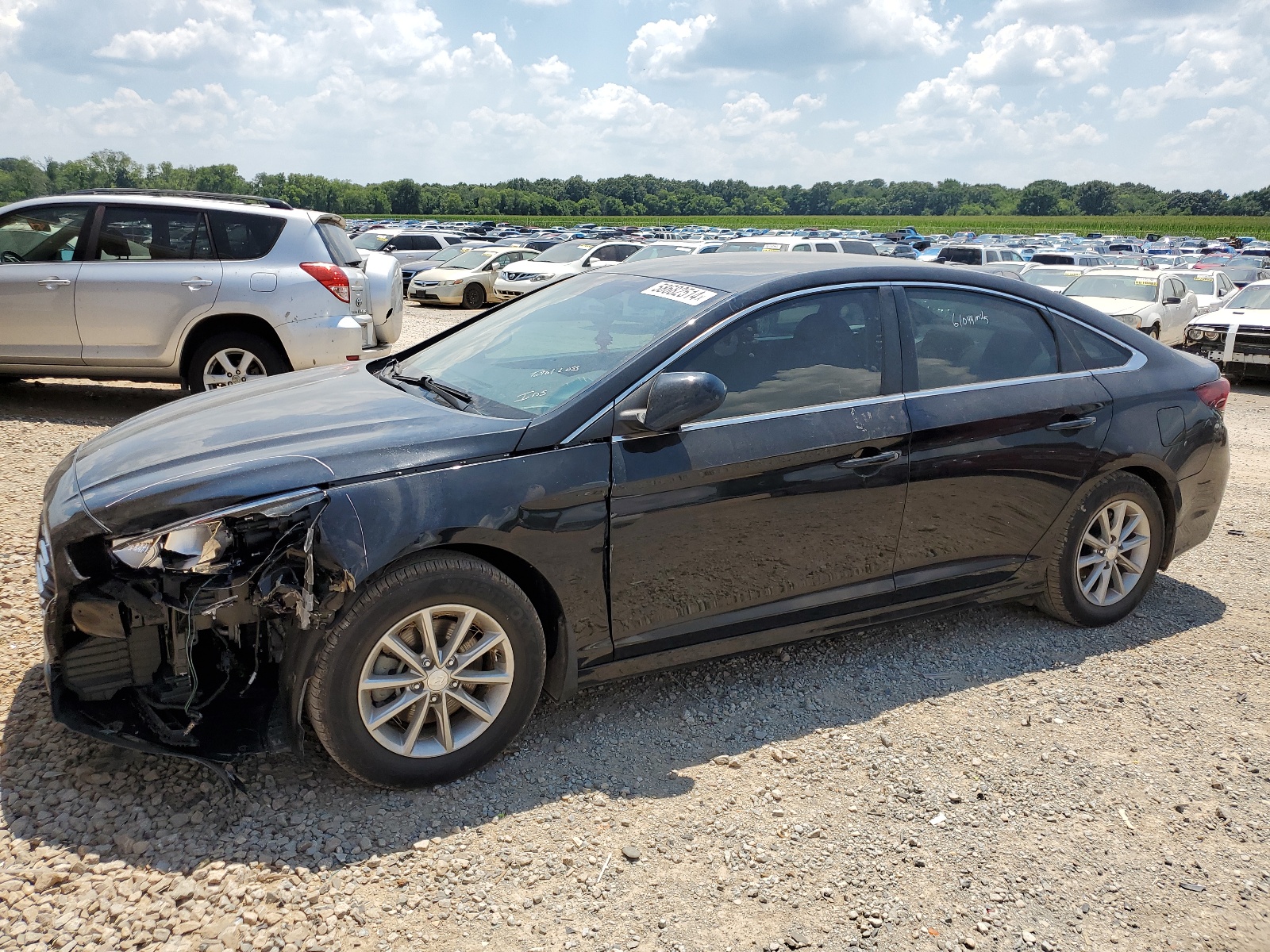 2019 Hyundai Sonata Se vin: 5NPE24AF7KH735039