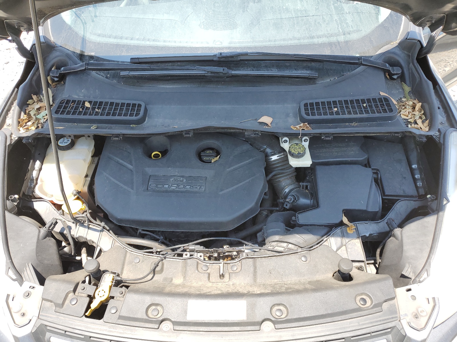 1FMCU9G93EUB06917 2014 Ford Escape Se