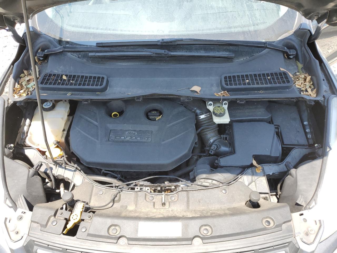 2014 Ford Escape Se VIN: 1FMCU9G93EUB06917 Lot: 58121144