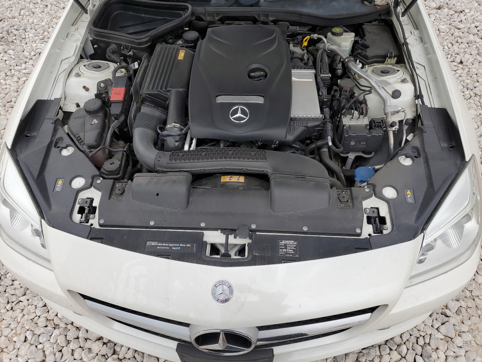 WDDPK3JA2GF121787 2016 Mercedes-Benz Slk 300