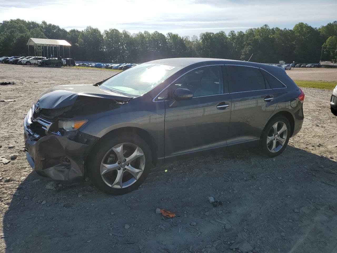 2009 Toyota Venza VIN: 4T3BK11A39U022079 Lot: 59669234