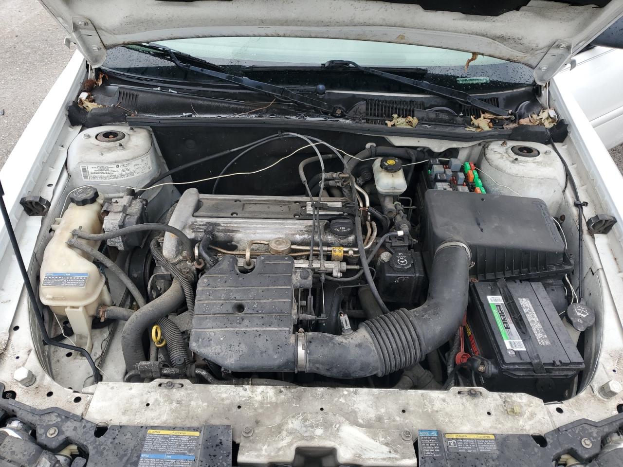 2005 Chevrolet Classic VIN: 1G1ND52F25M213856 Lot: 60161844