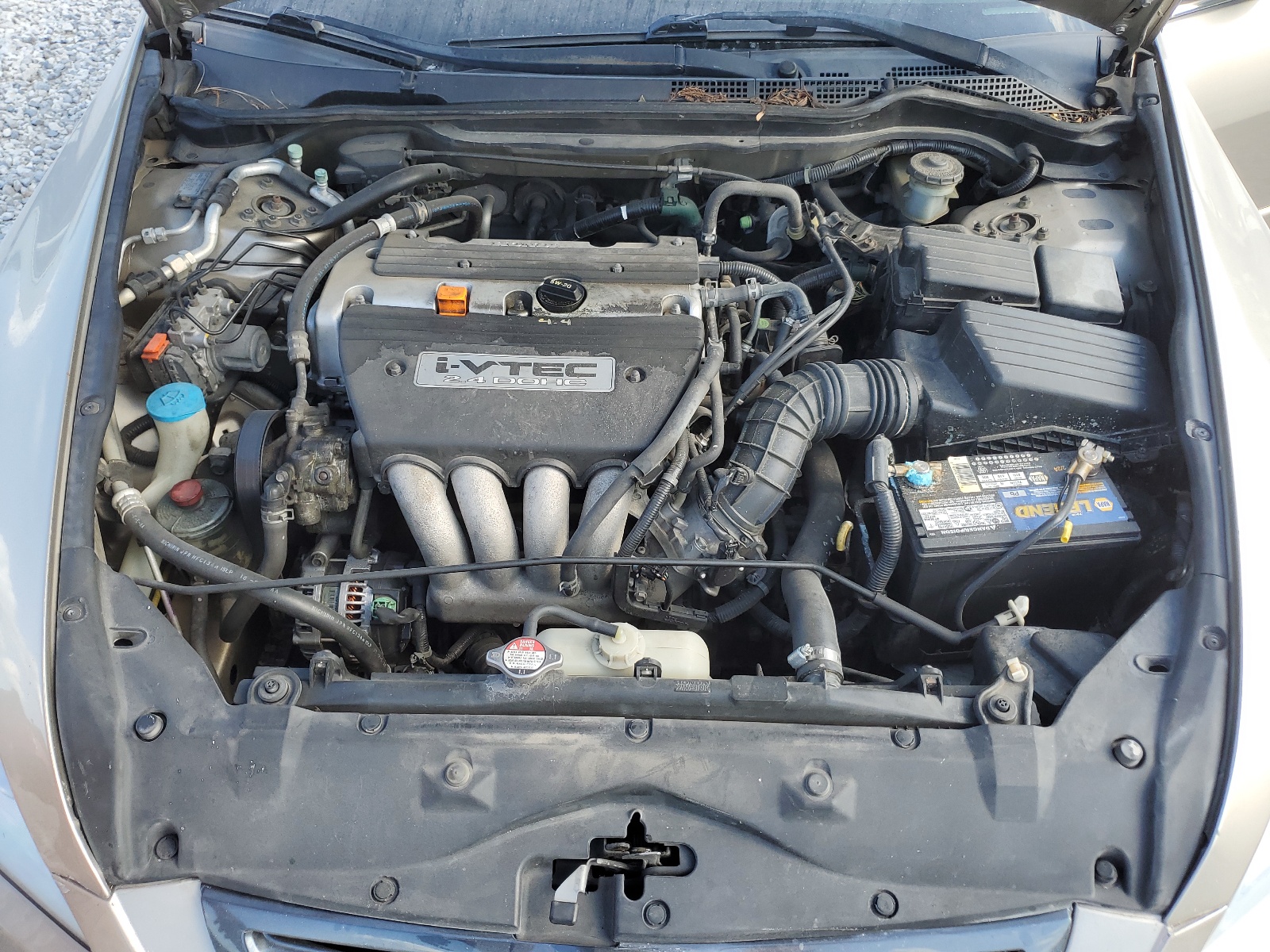 JHMCM56614C001137 2004 Honda Accord Ex