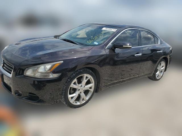  NISSAN MAXIMA 2012 Фиолетовый