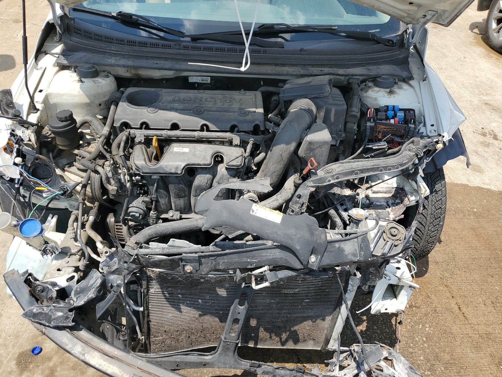 KNAFU4A24A5183278 2010 Kia Forte Ex