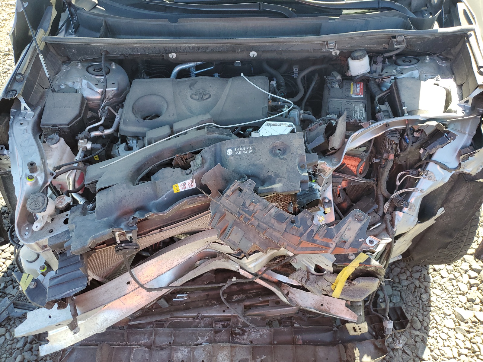 2T3P1RFV4MC237094 2021 Toyota Rav4 Xle