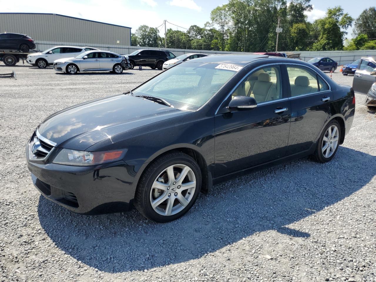 2005 Acura Tsx VIN: JH4CL96855C023087 Lot: 57643964