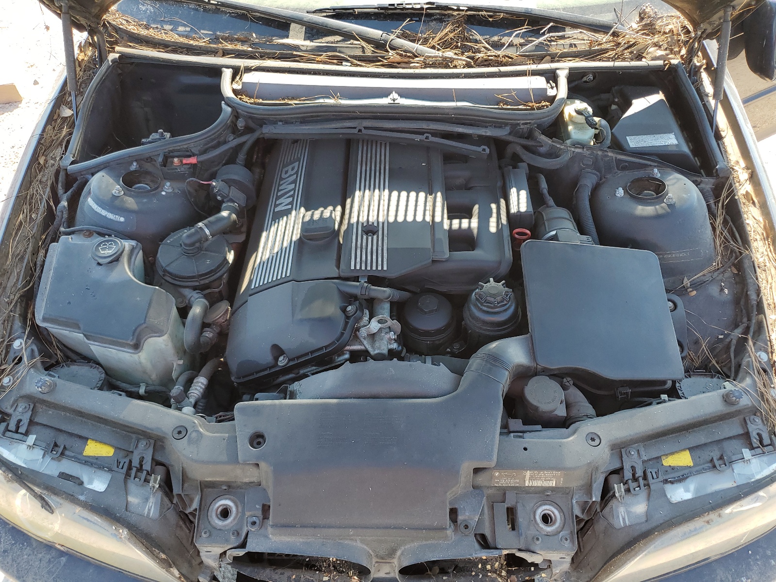 WBABW334X6PX86474 2006 BMW 325 Ci