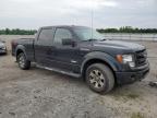 2013 Ford F150 Supercrew for Sale in Fredericksburg, VA - Rear End