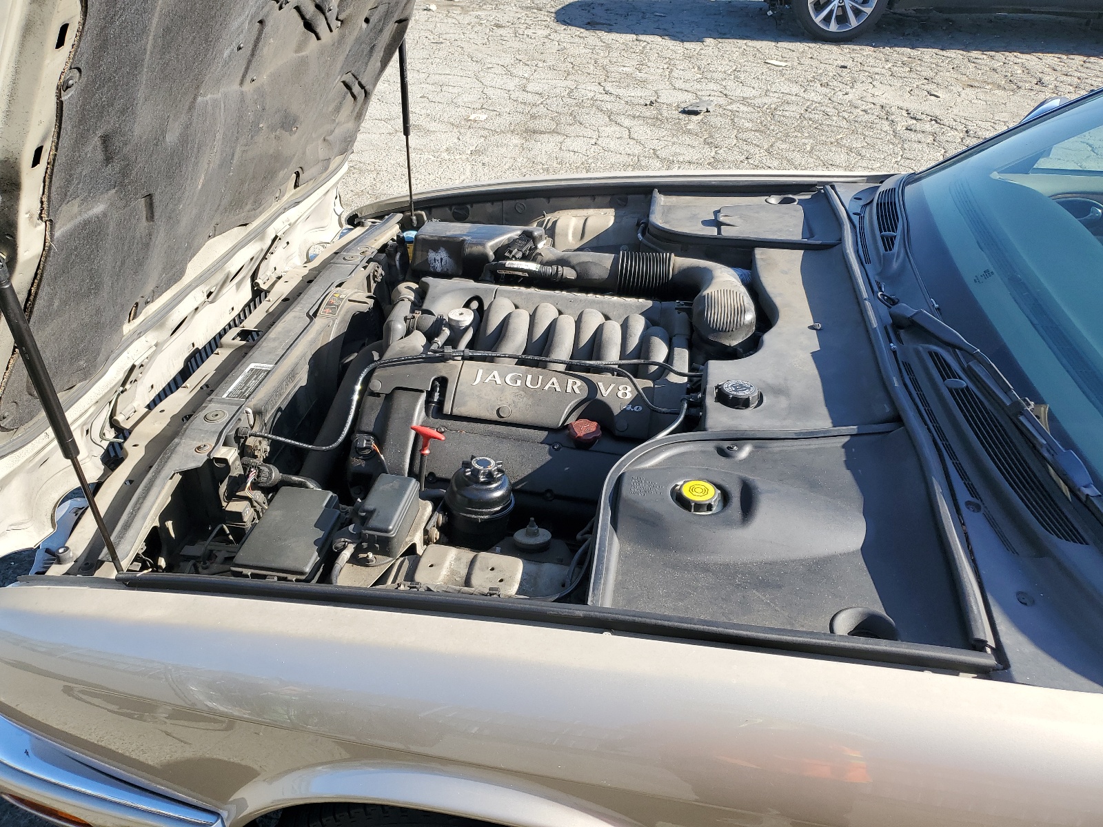 SAJKX6040XC858380 1999 Jaguar Vandenplas