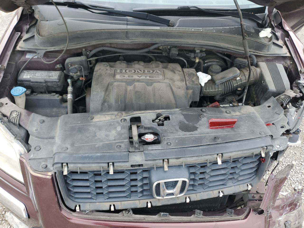 2007 Honda Pilot Exl VIN: 5FNYF187X7B028943 Lot: 59652104