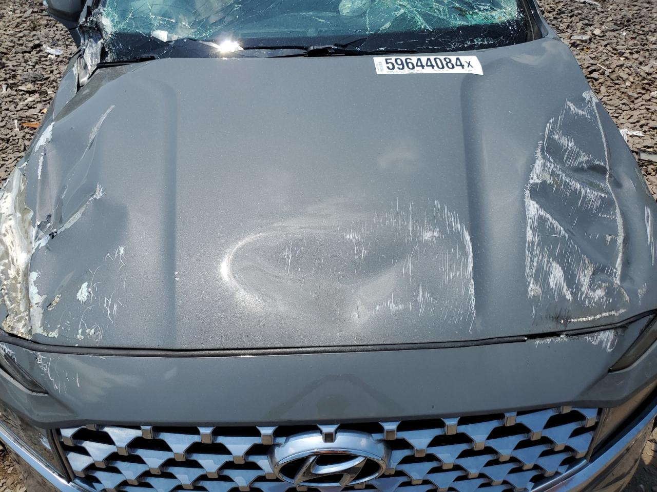 2021 Hyundai Santa Fe Sel VIN: 5NMS6DAJ1MH316342 Lot: 59644084