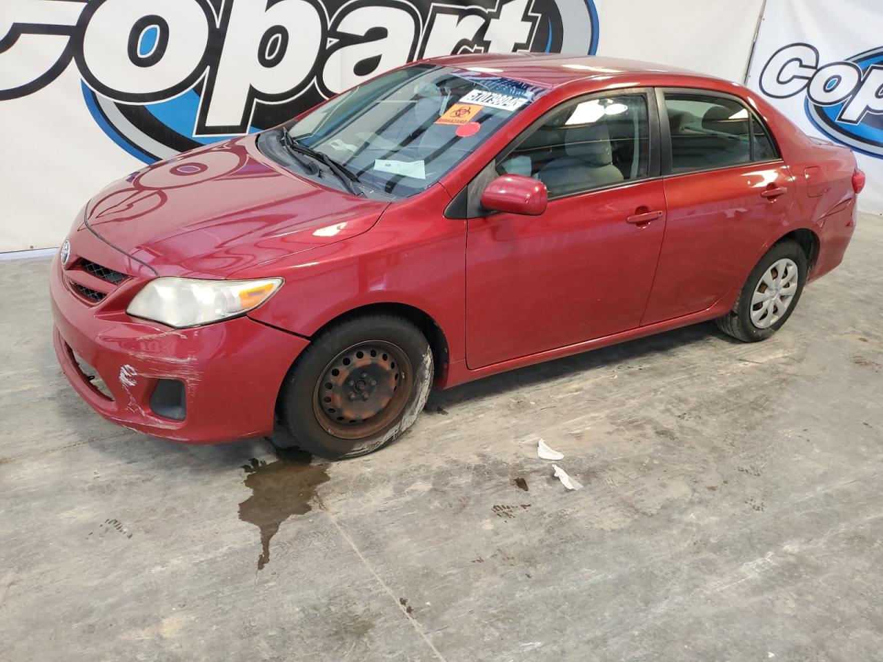 2011 Toyota Corolla Base VIN: JTDBU4EE5B9126703 Lot: 57079804