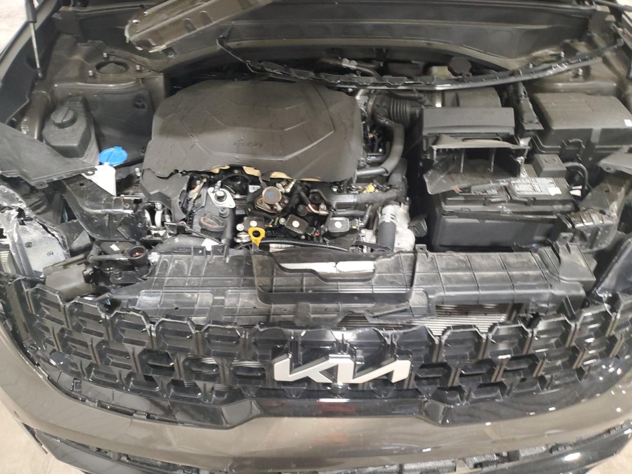 2024 Kia Telluride Sx VIN: 5XYP5DGC3RG433553 Lot: 58528224