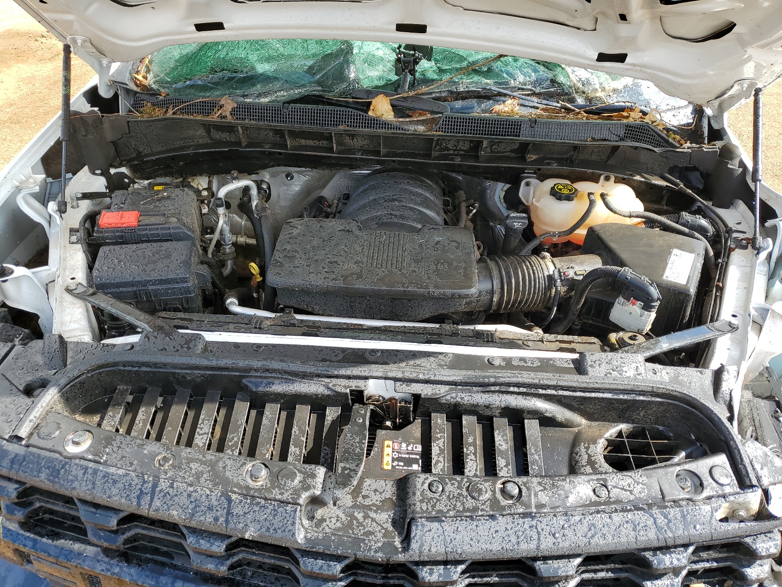 1GCPYCEF9MZ338598 2021 Chevrolet Silverado K1500 Trail Boss Custom