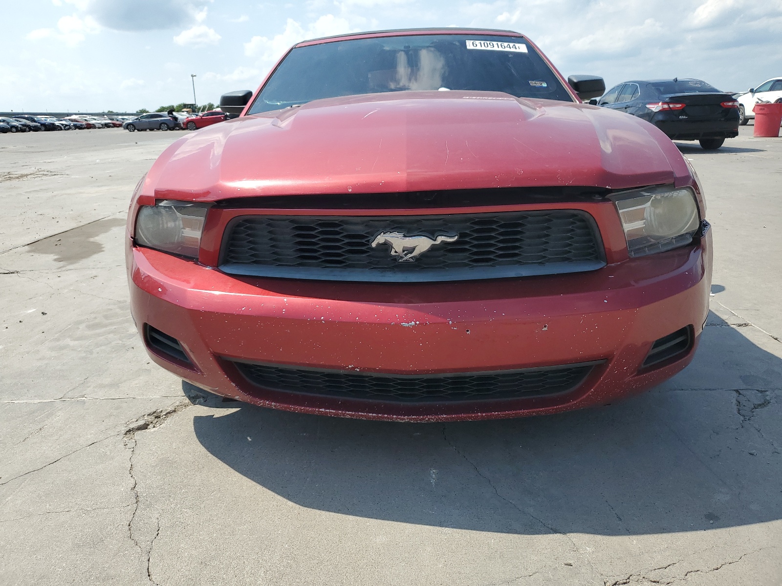 1ZVBP8EN4A5172010 2010 Ford Mustang