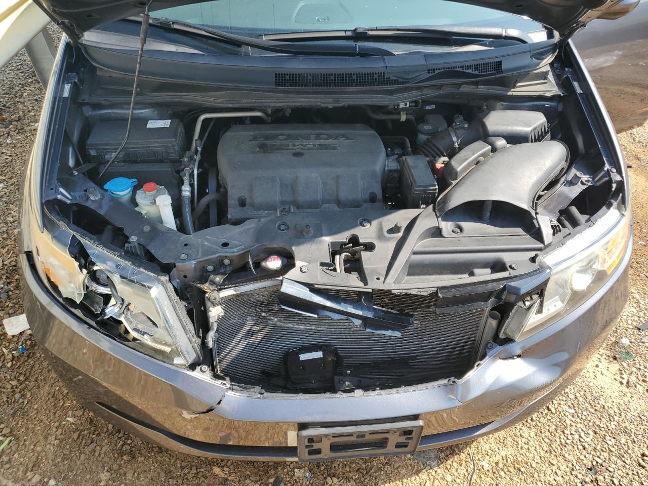 5FNRL5H68GB134111 HONDA All Models 2016