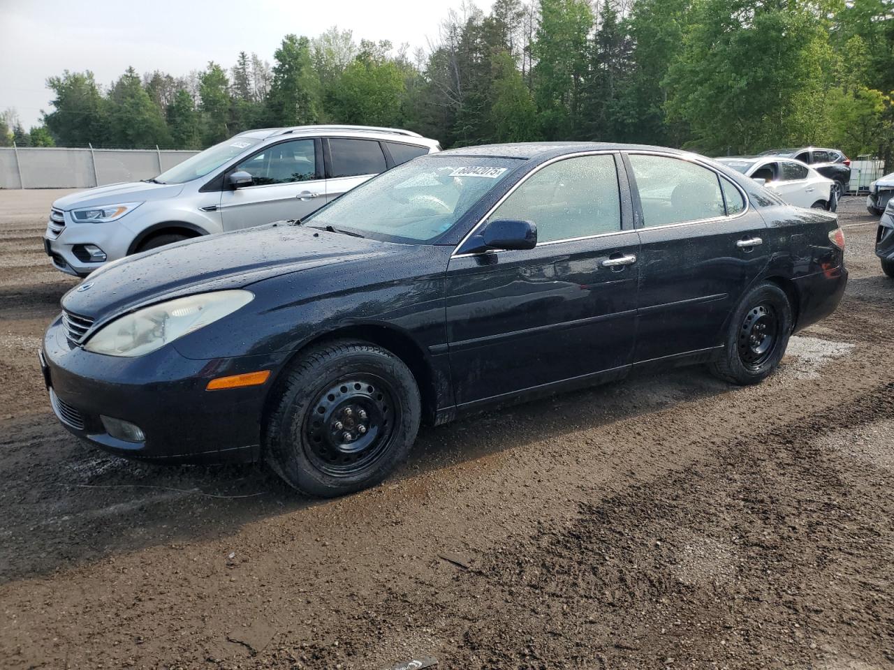 2002 Lexus Es 300 for Sale in Cookstown, ON - Minor Dent/Scratches
