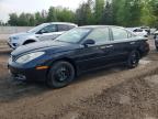 2002 Lexus Es 300 for Sale in Cookstown, ON - Minor Dent/Scratches