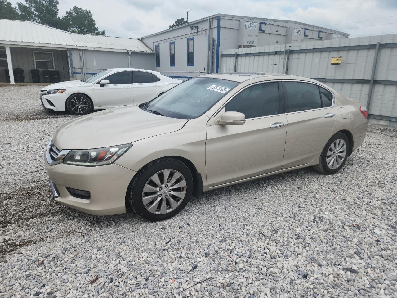 2014 Honda Accord Exl en Venta en Prairie Grove, AR - Hail