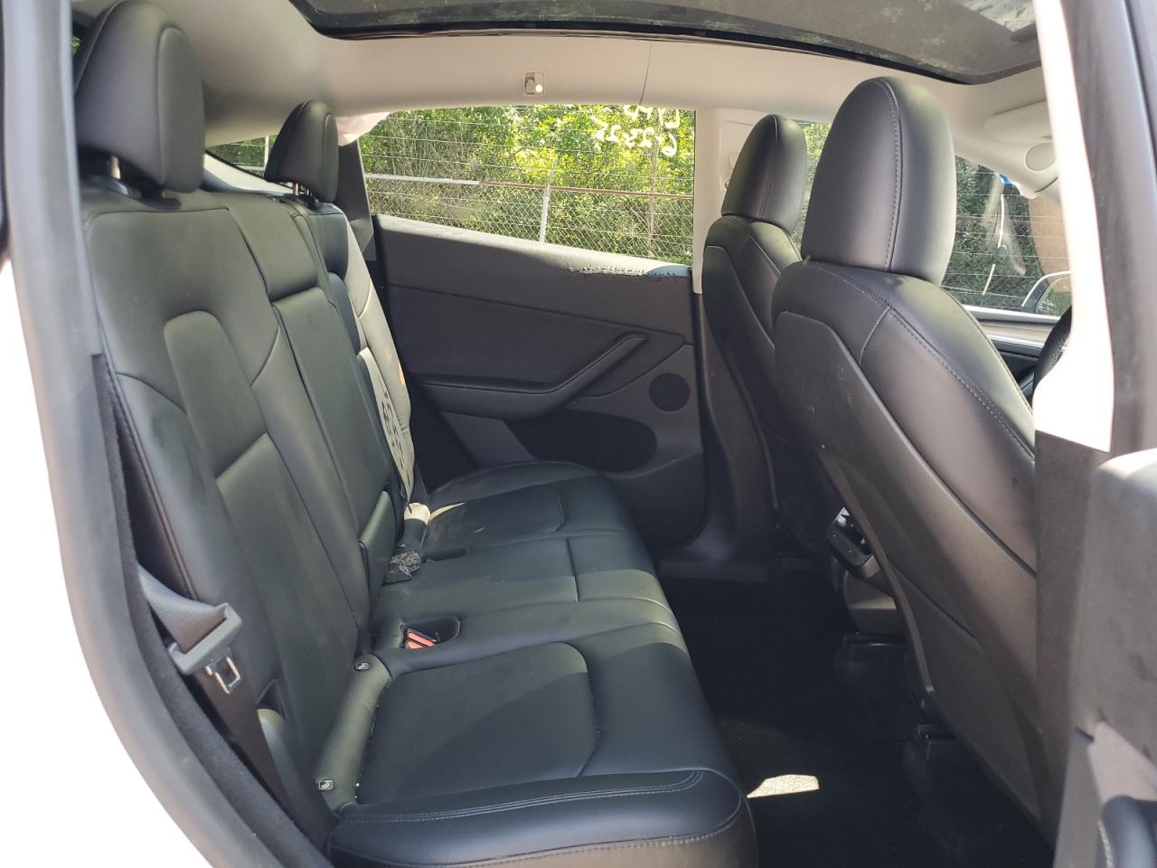 2023 Tesla Model Y VIN: 7SAYGDEEXPA153989 Lot: 62677305